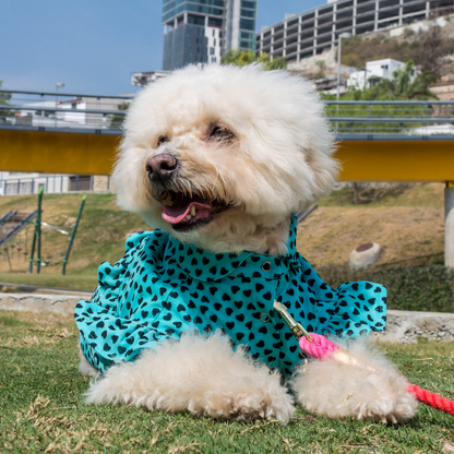 Camisa Turquoise