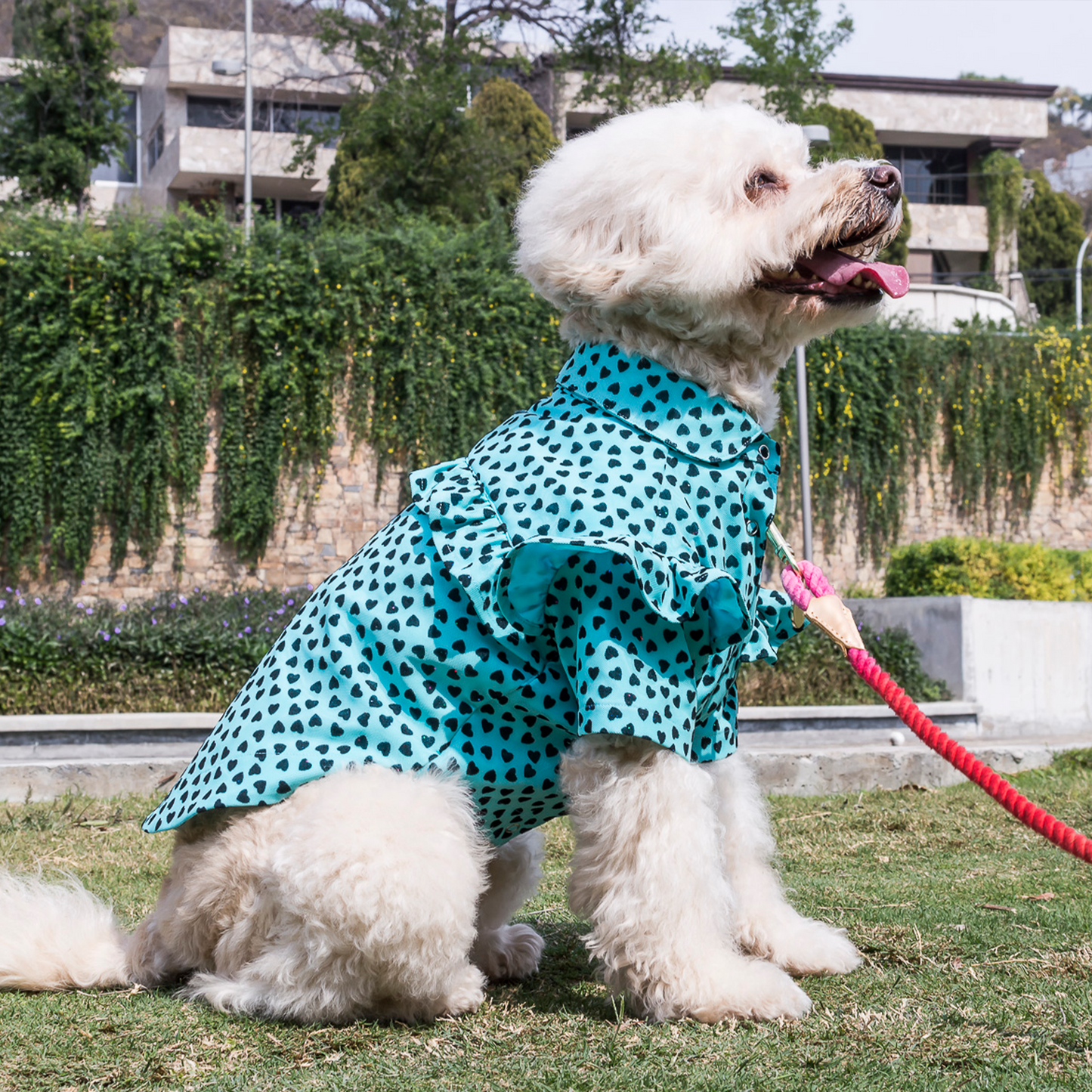 Camisa Turquoise