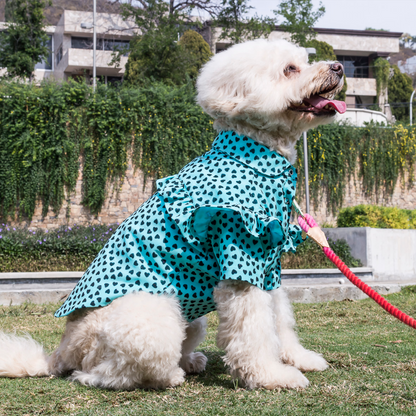 Camisa Turquoise