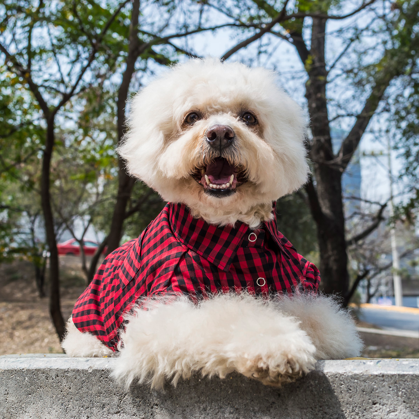 Camisa Gingham