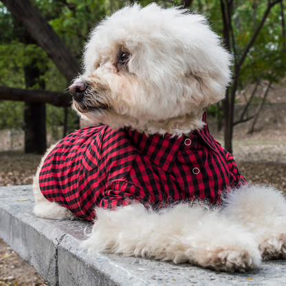 Camisa Gingham