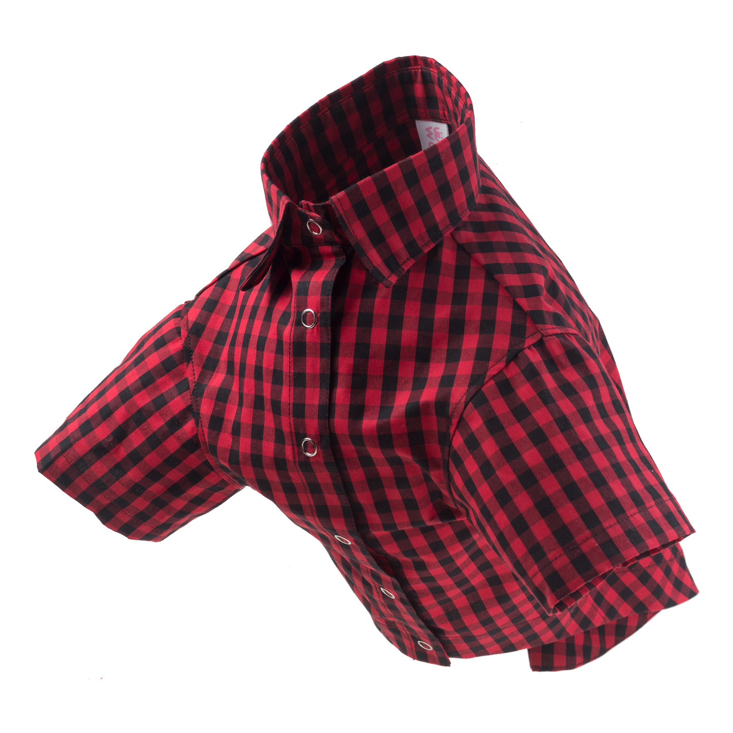Camisa Gingham