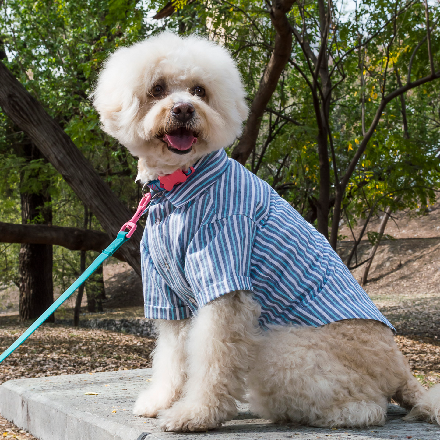Camisa Blue Stripes