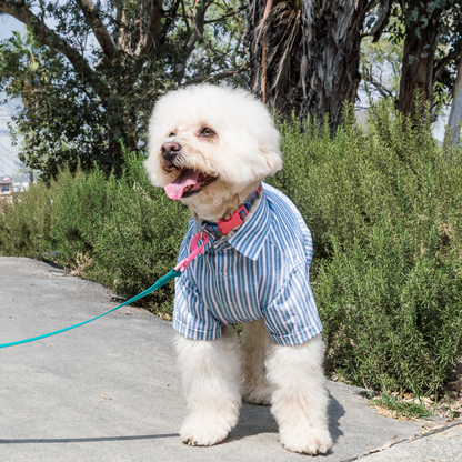 Camisa Blue Stripes