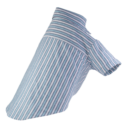 Camisa Blue Stripes